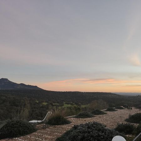 Puebla de la Reina Dehesa El Aguila 아파트 외부 사진