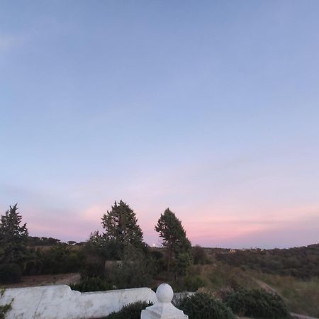 Puebla de la Reina Dehesa El Aguila 아파트 외부 사진